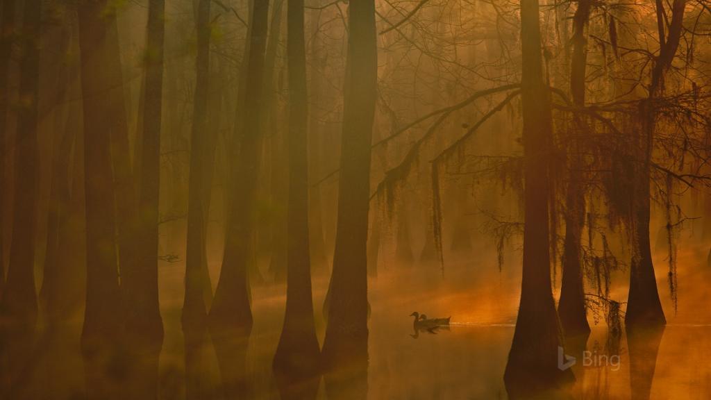 2017年Bing官方主题唯美风景