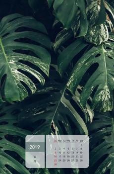 2019年6月小清新护眼绿色植物日历-4