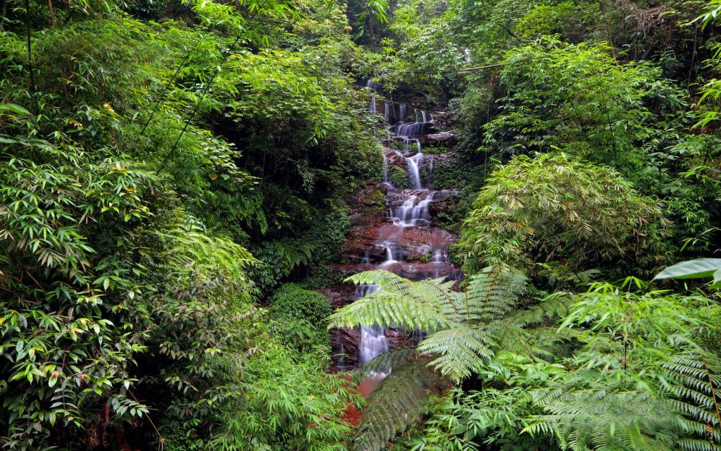 美丽的溪泉瀑布