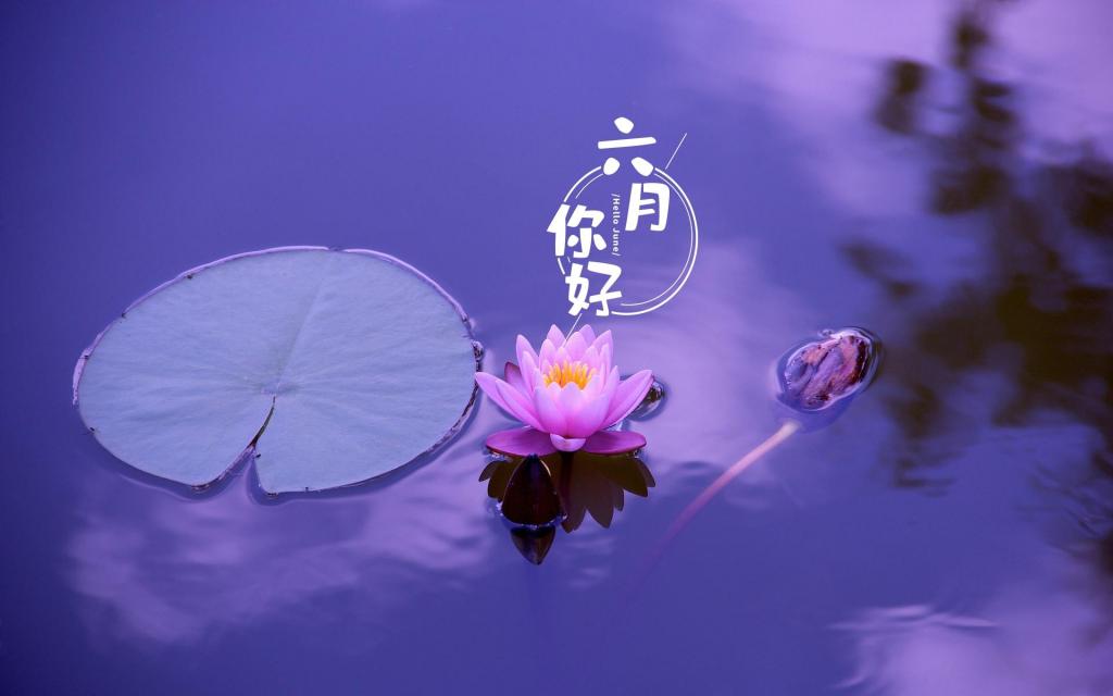 朋友圈六月你好暖心励志文案（新版）