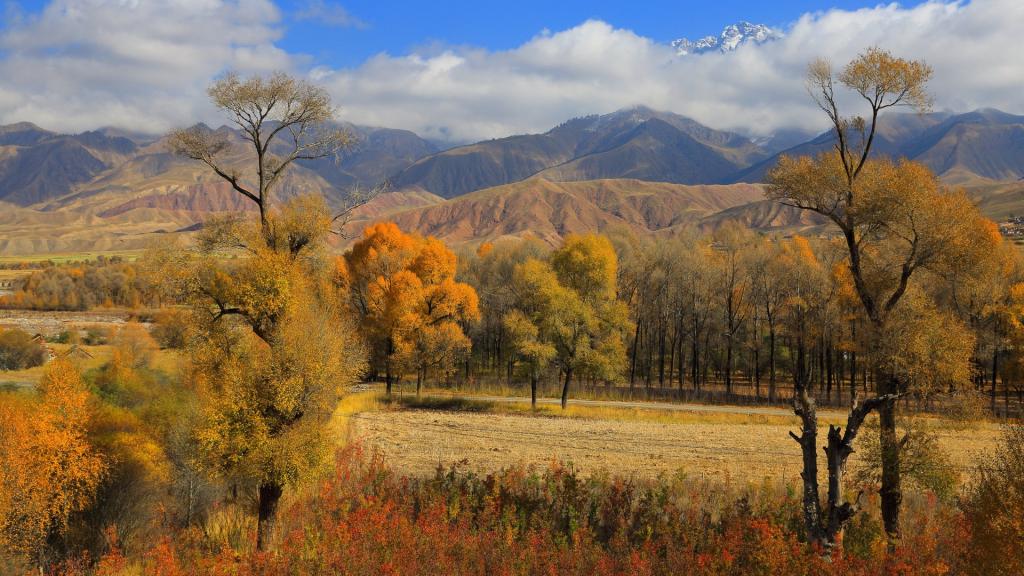 秋天的青海黑河大峡谷