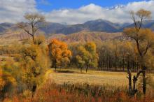 秋天的青海黑河大峡谷