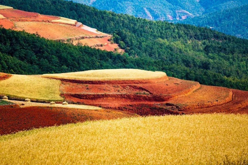 云南省的东川红土地优美自然风光迷人写真