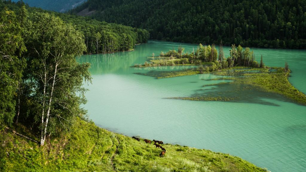 旖旎的自然风景