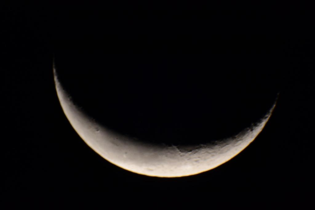 唯美的月下风景