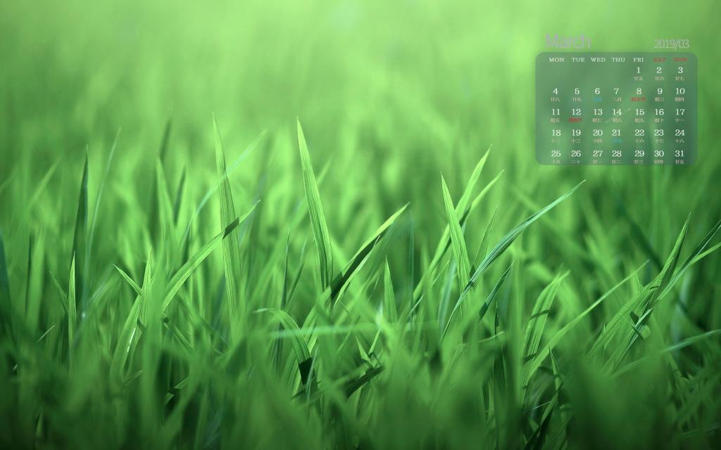 2019年3月春天的自然风光日历