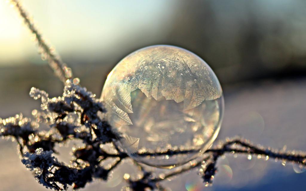 立冬时节的风景