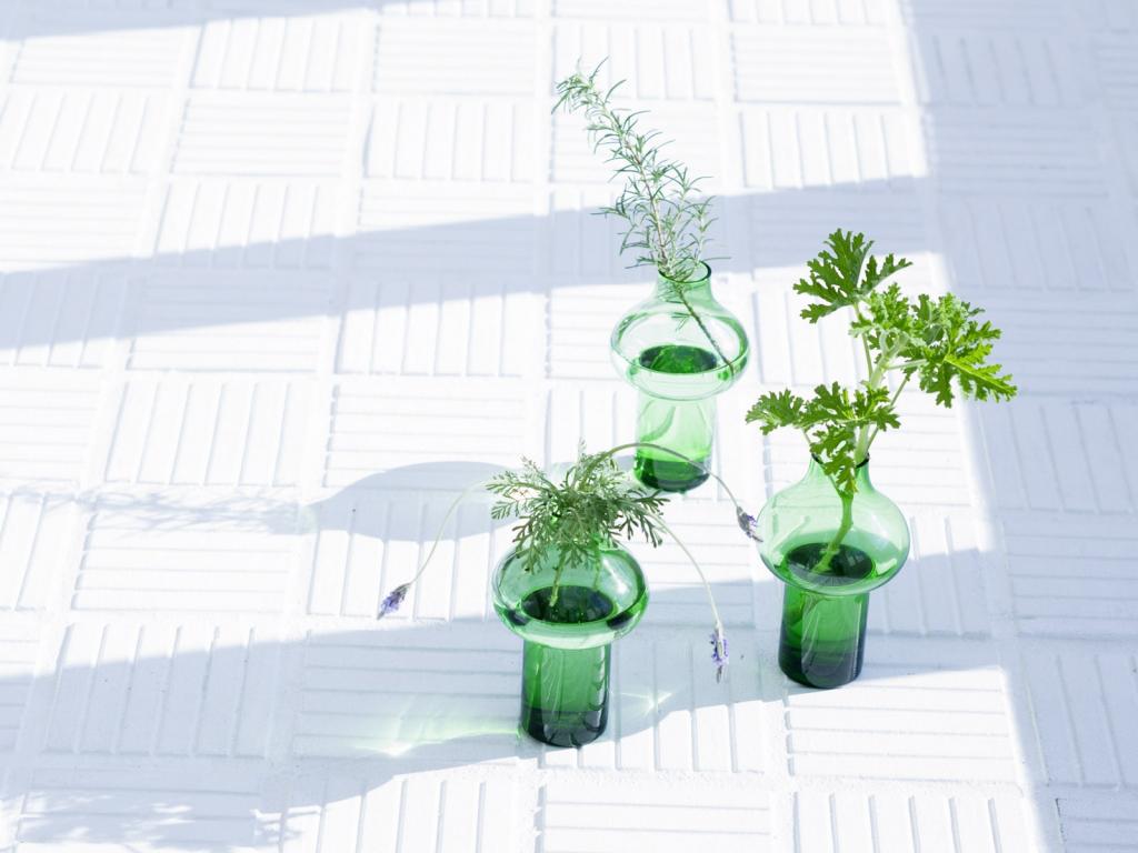 阳光明媚室内花饰