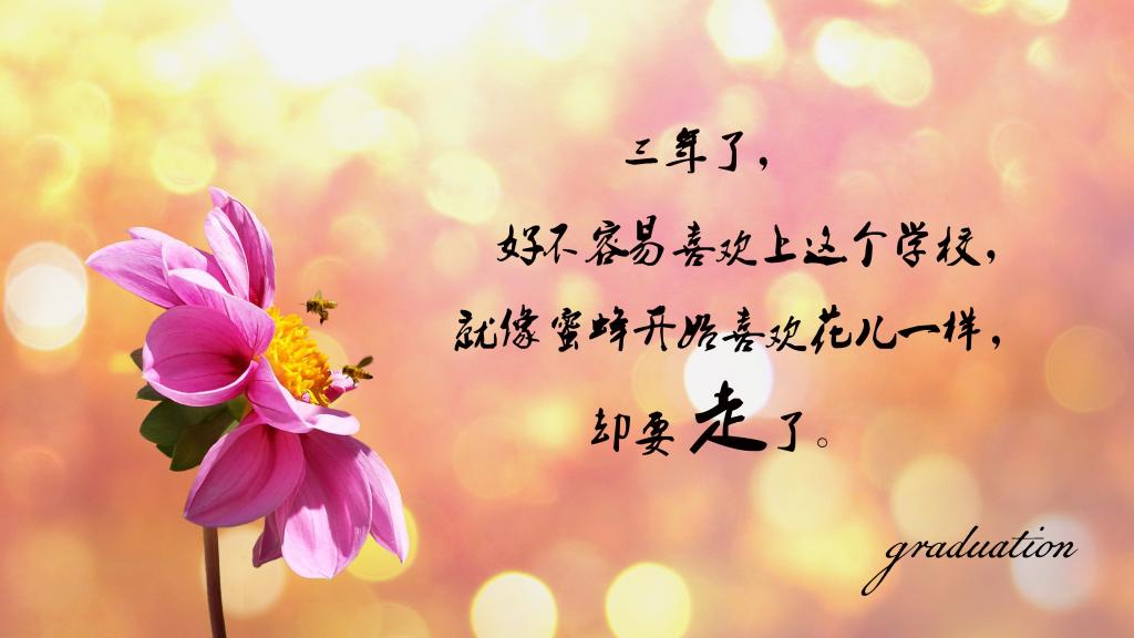 感人的毕业离别文艺短句子图片