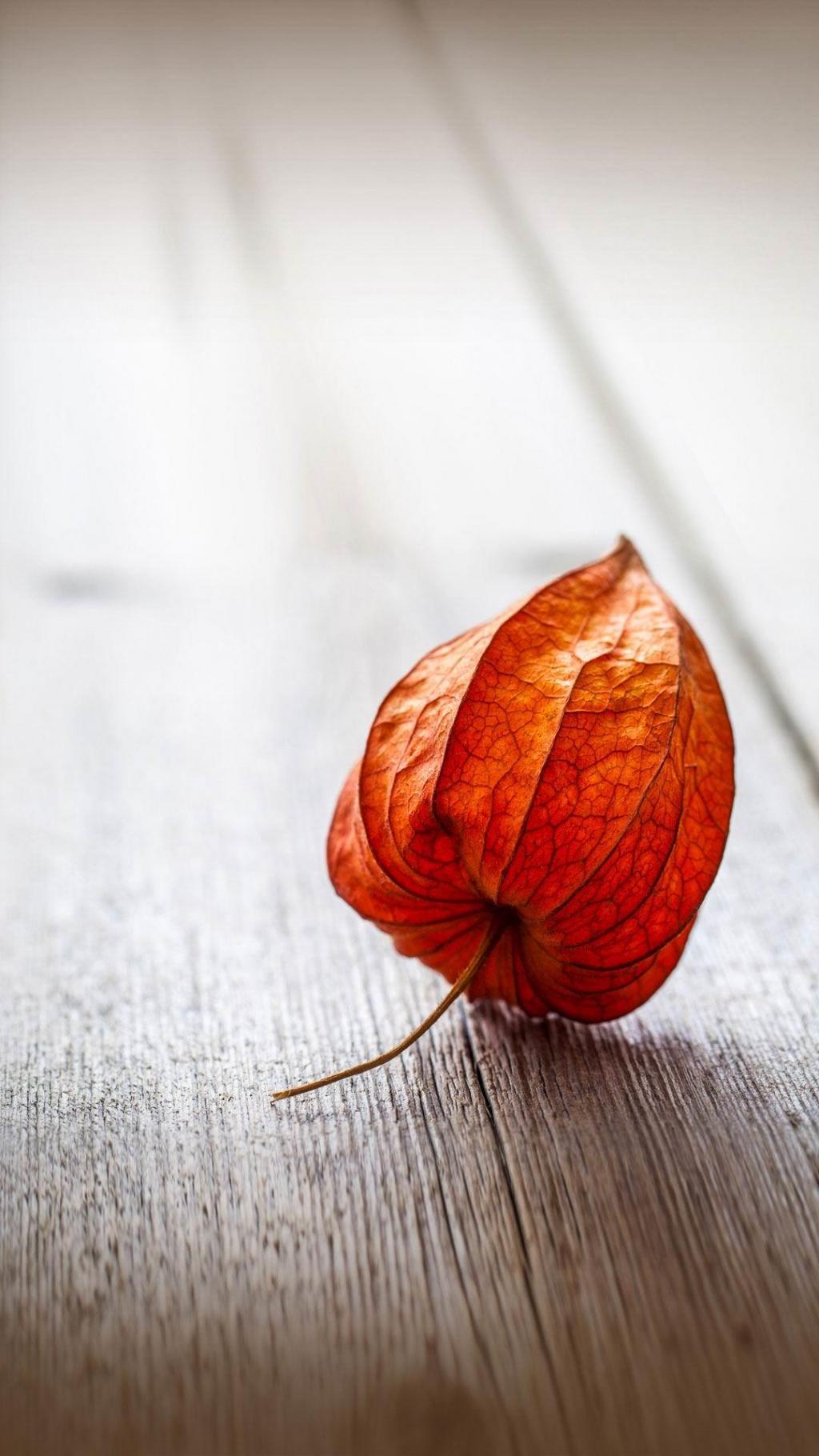 华为荣耀6Plus官方壁纸 第二辑