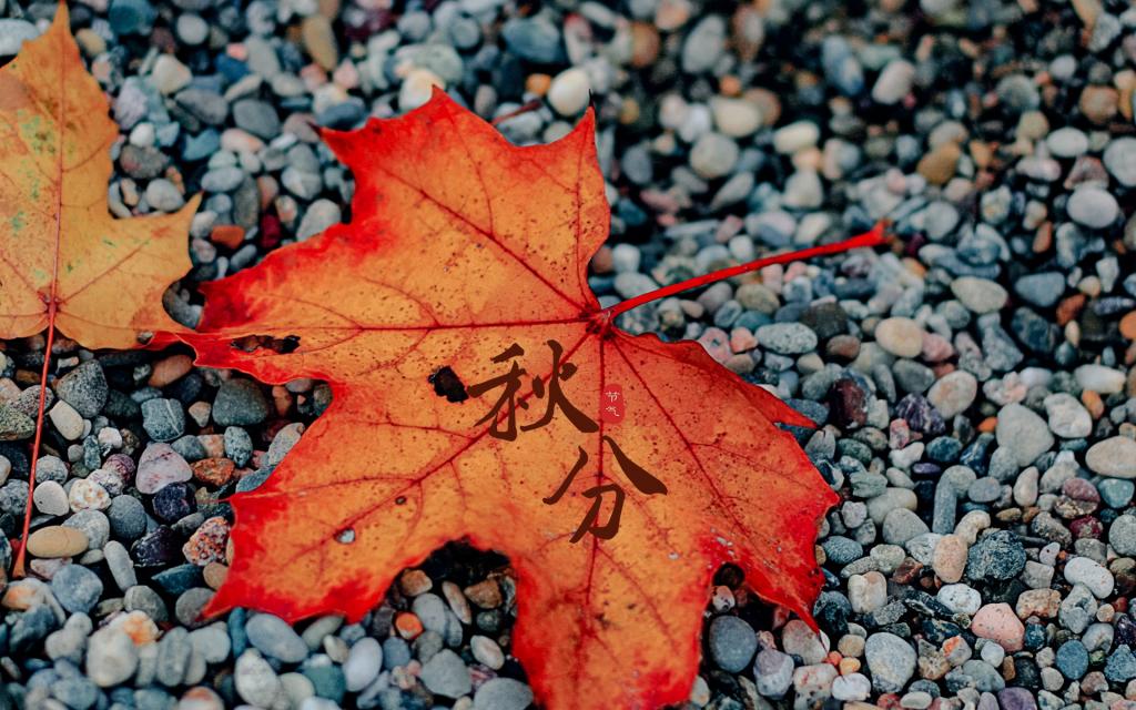 凉凉秋分送关怀