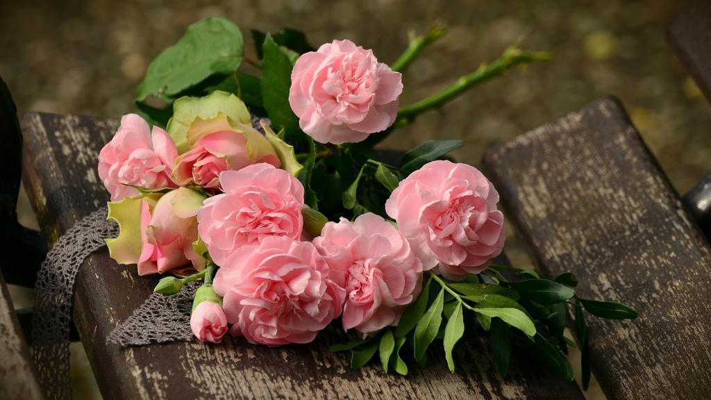 七夕情人节的礼物