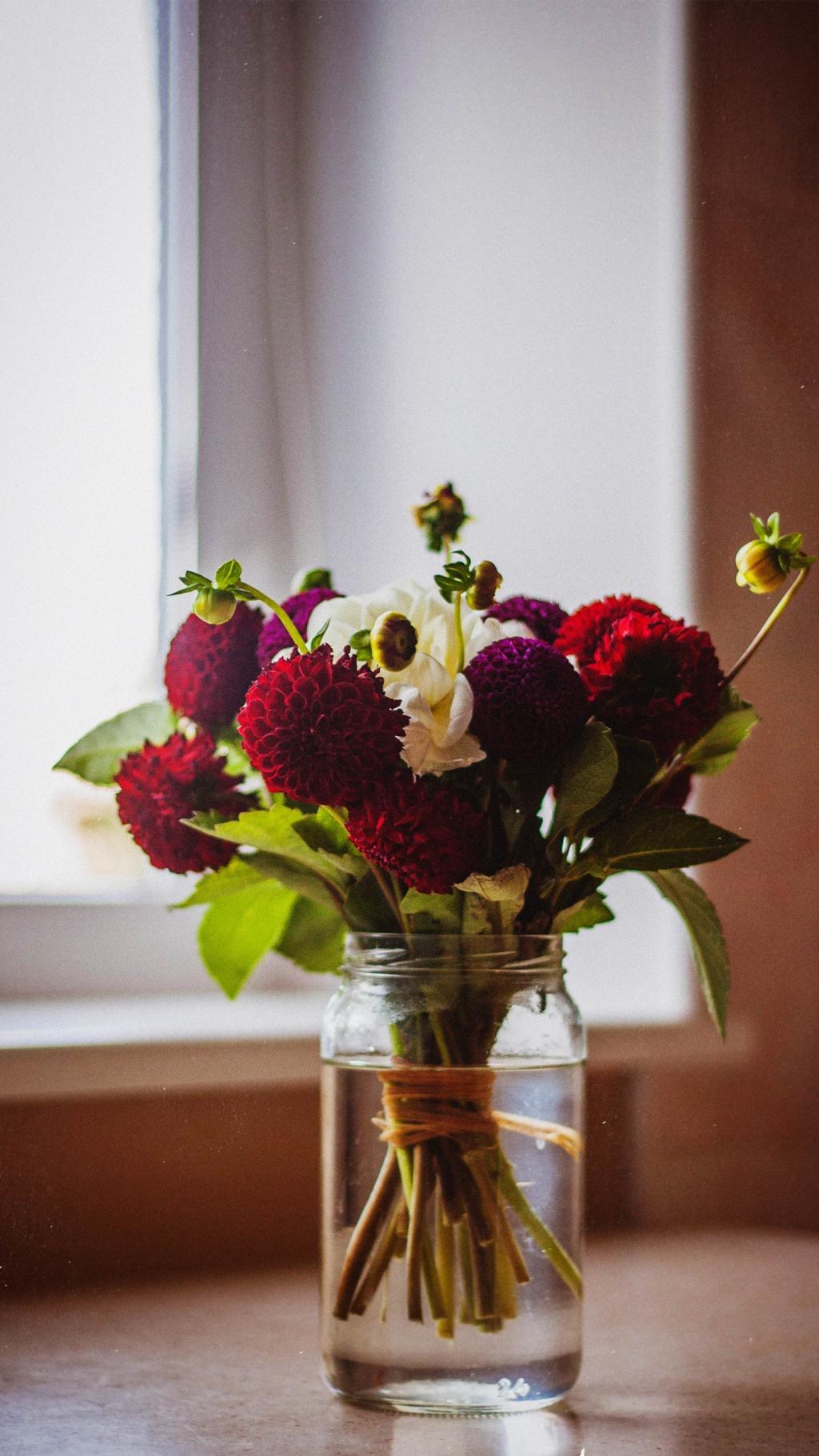 唯美的鲜花盆栽