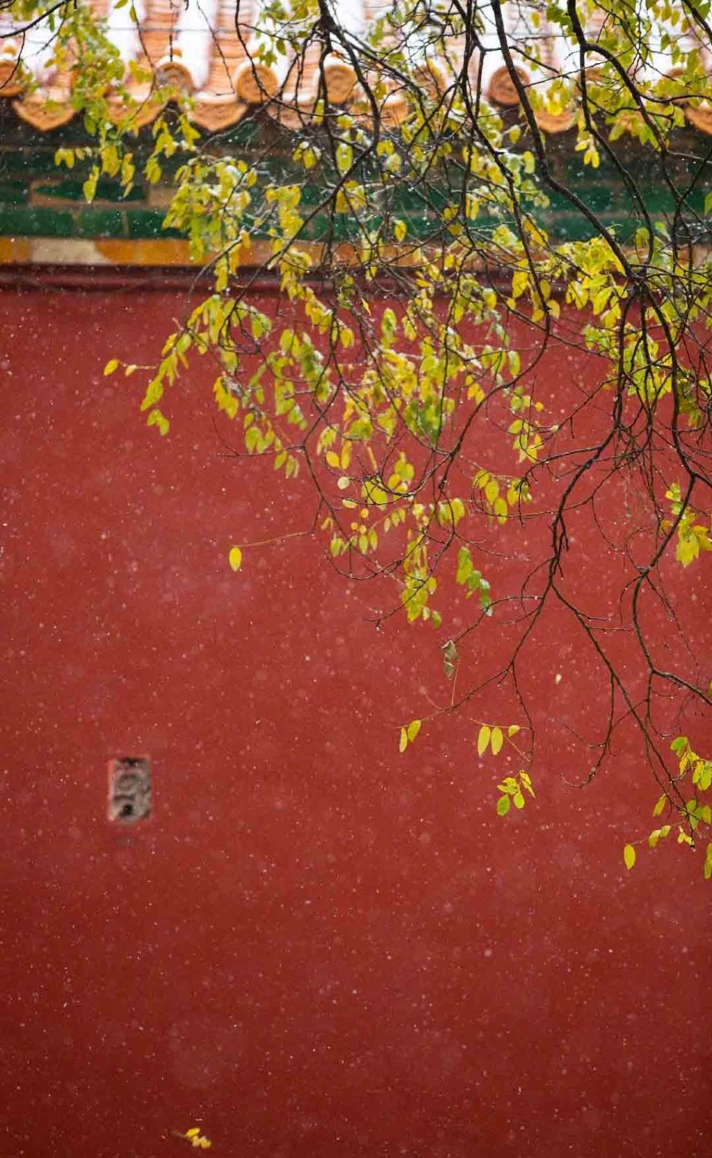 2020紫禁城的初雪