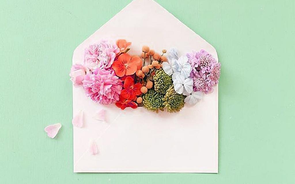 小清新绿色背景创意写真