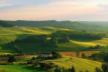 绿色护眼自然风景