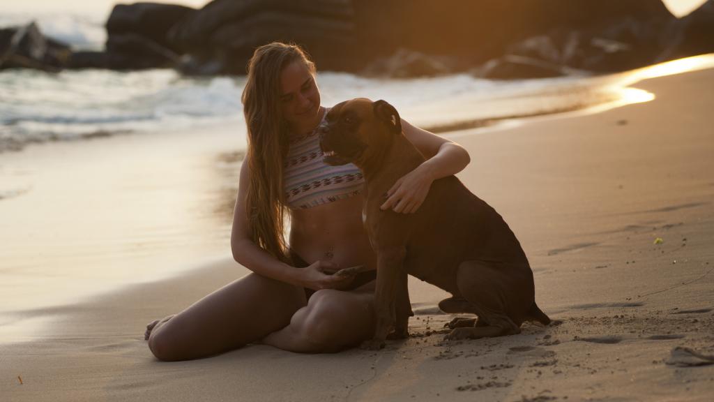 女孩在和狗玩耍