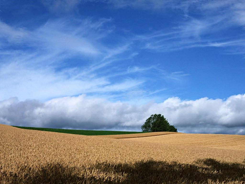 草原上的晴空万里