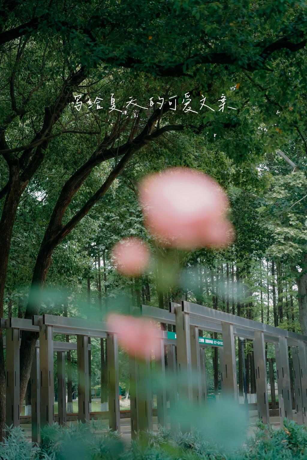 关于夏天的可爱短句浪漫文案