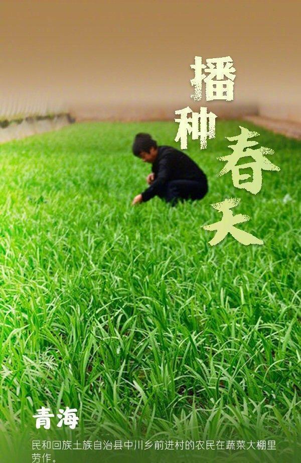 播种春天也是播种希望