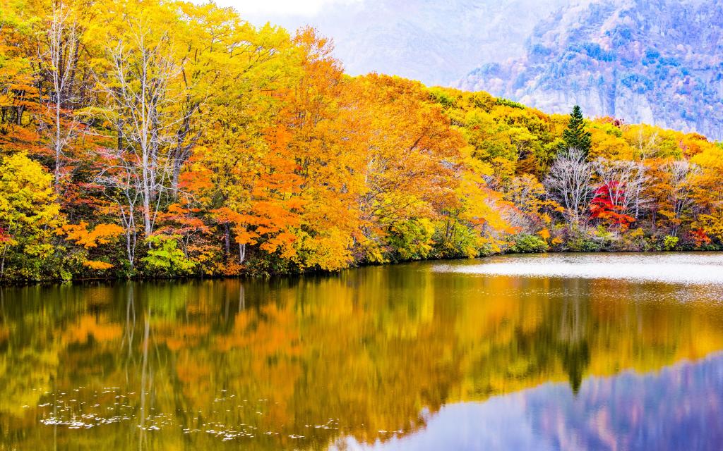 日本长野的美丽风光