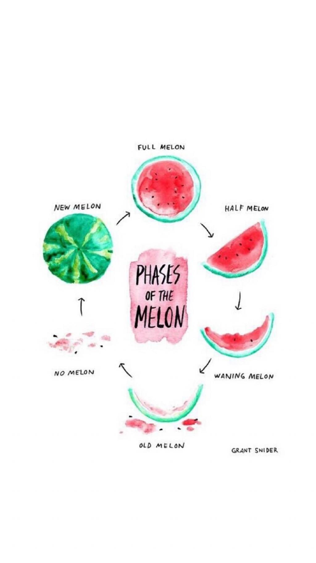 小清新手绘食物插画