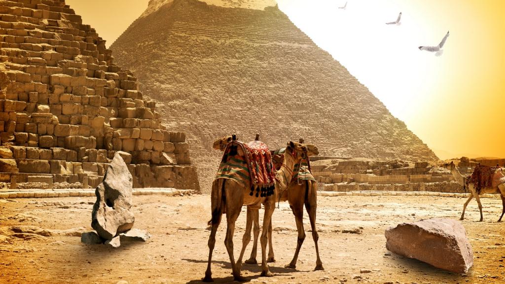 穿越五千年的沧桑，走近埃及金字塔