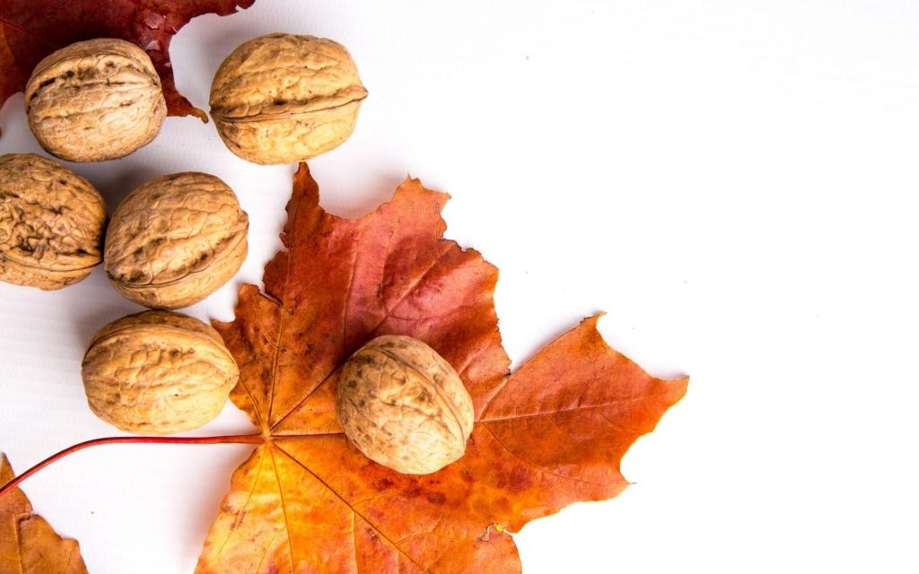 枫叶与核桃