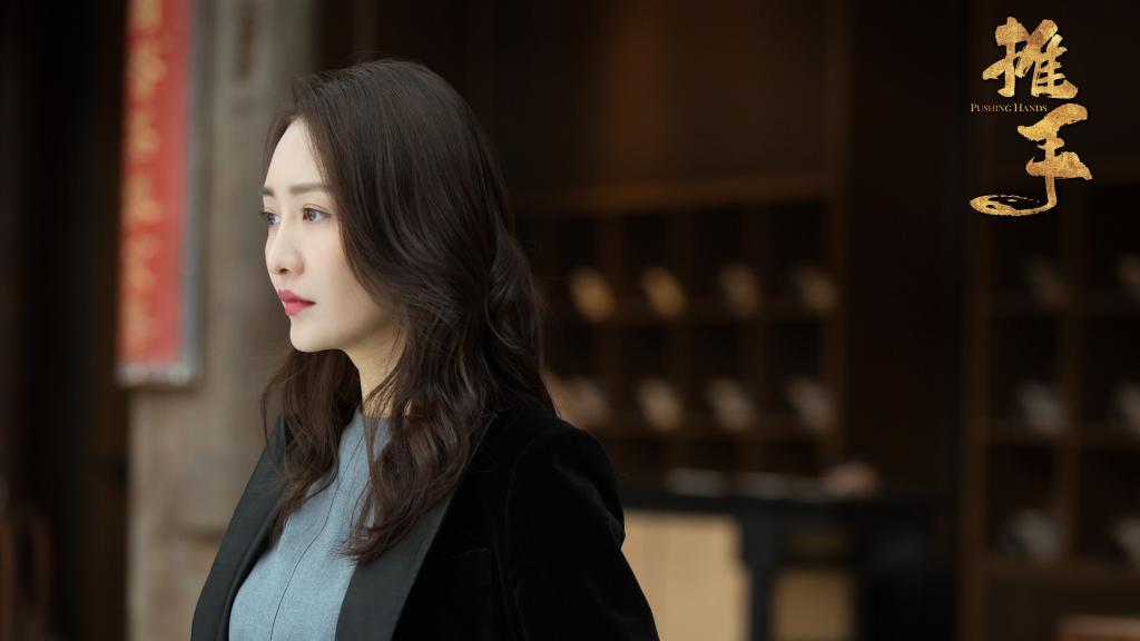 2019都市情感电视剧《推手》