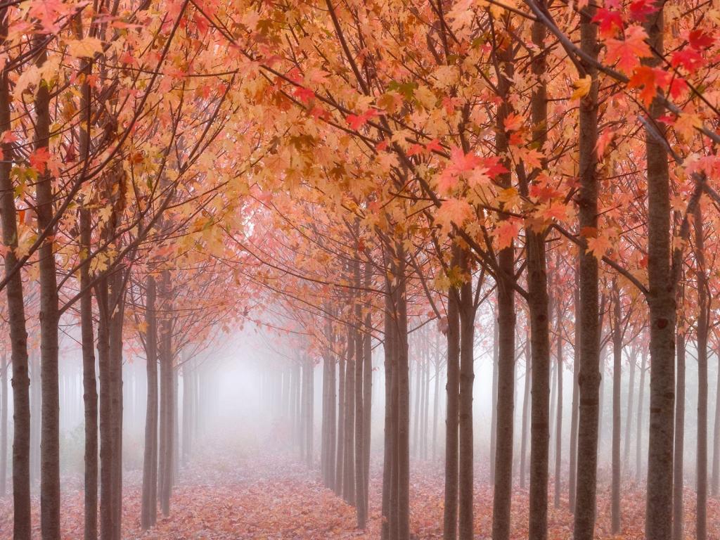 纵观世界风云，风景这边更好