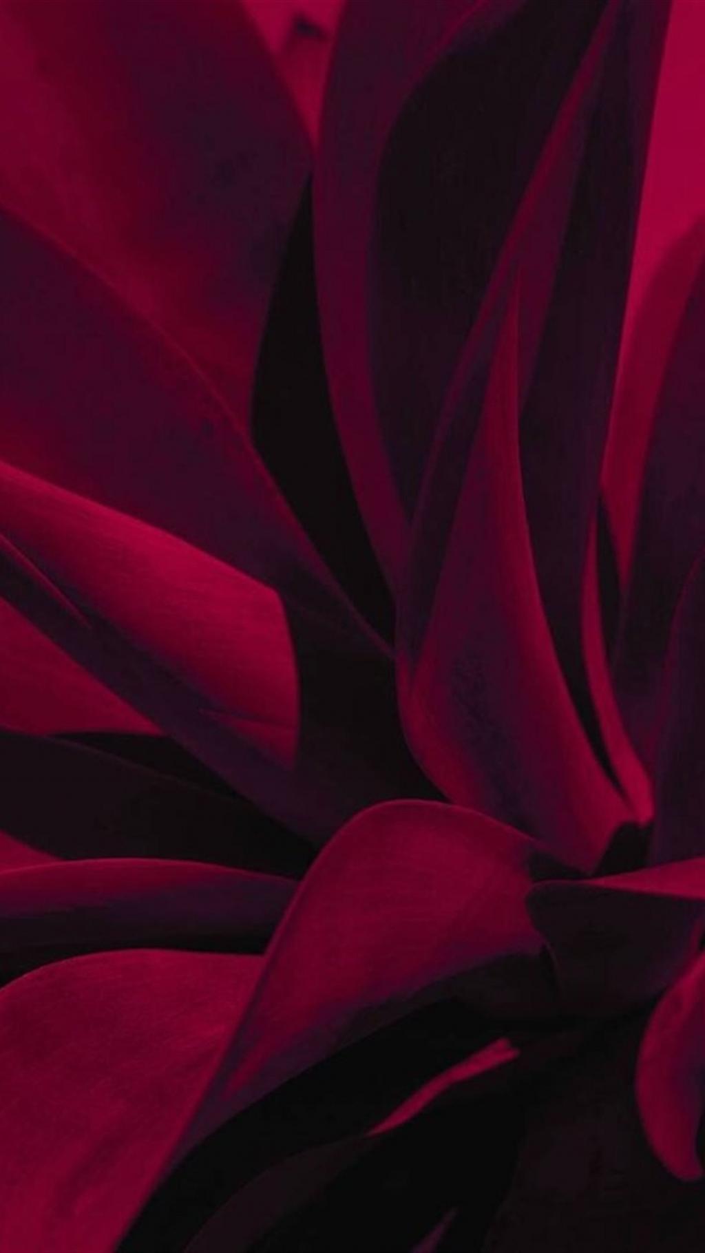 个性树叶创意设计