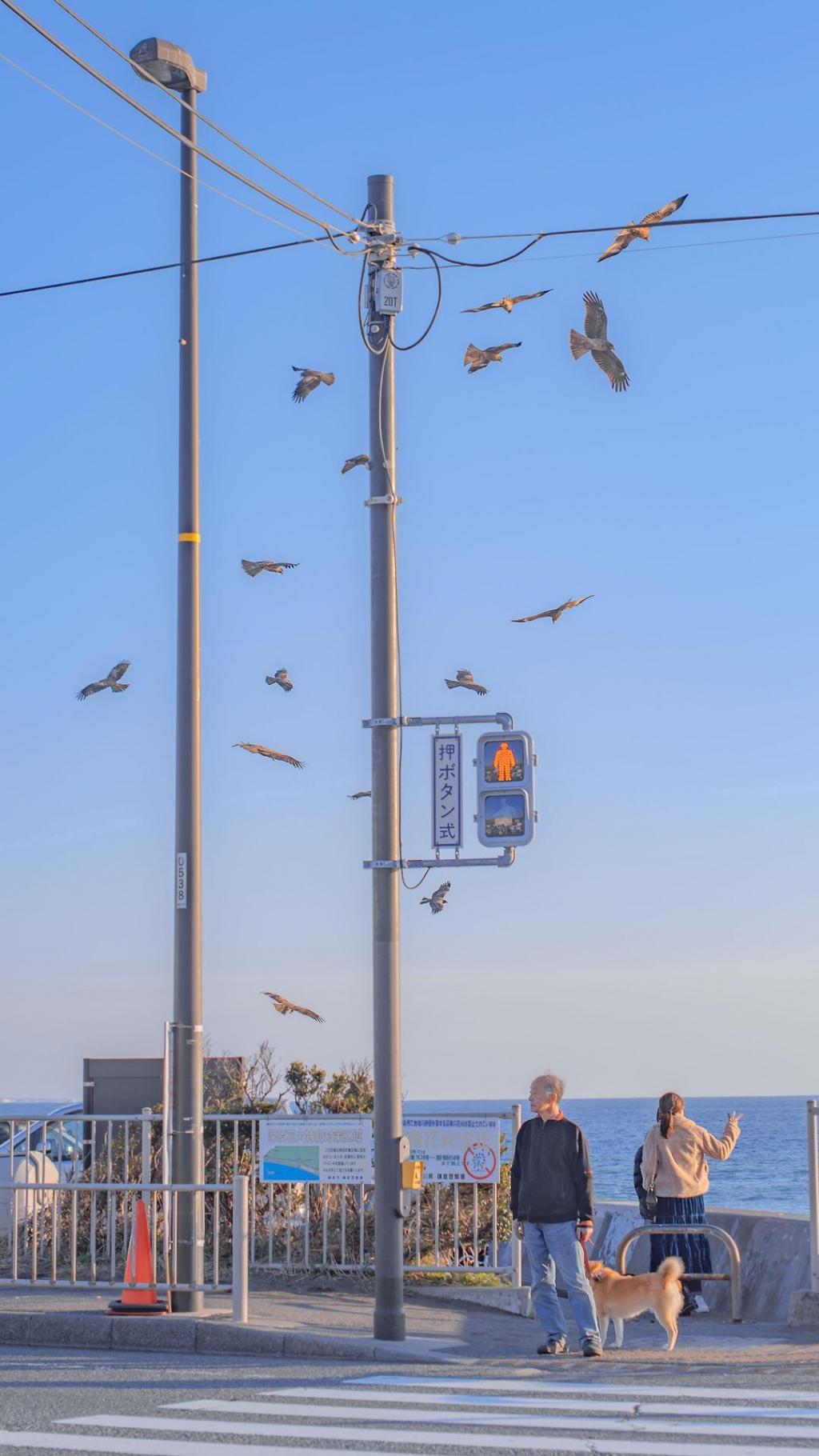 日本小清新优美城市风景