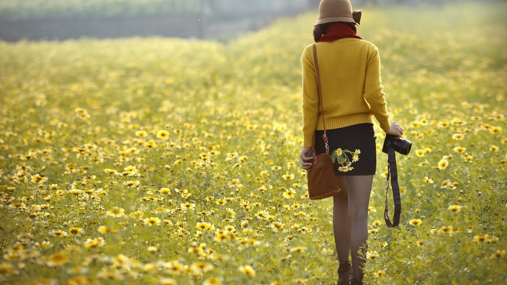 途经一场寂静时光