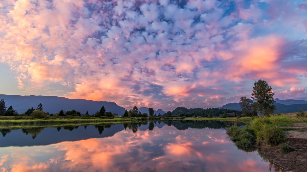 大自然的独特魅力