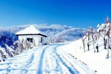 冬季带你去看雪