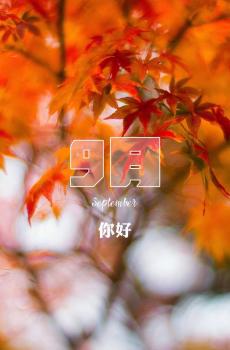 向往的九月-3
