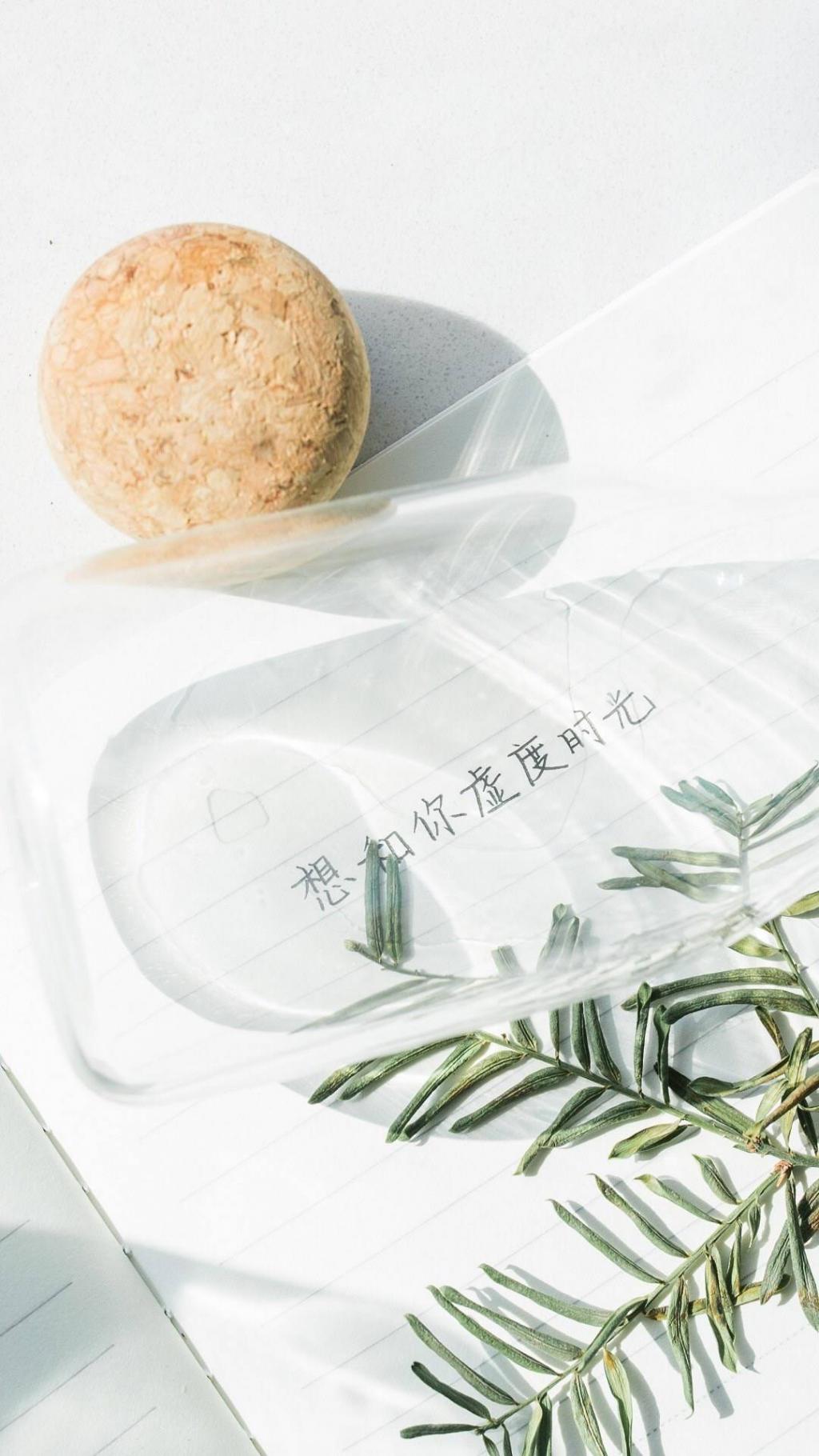 小清新治愈系静物写真