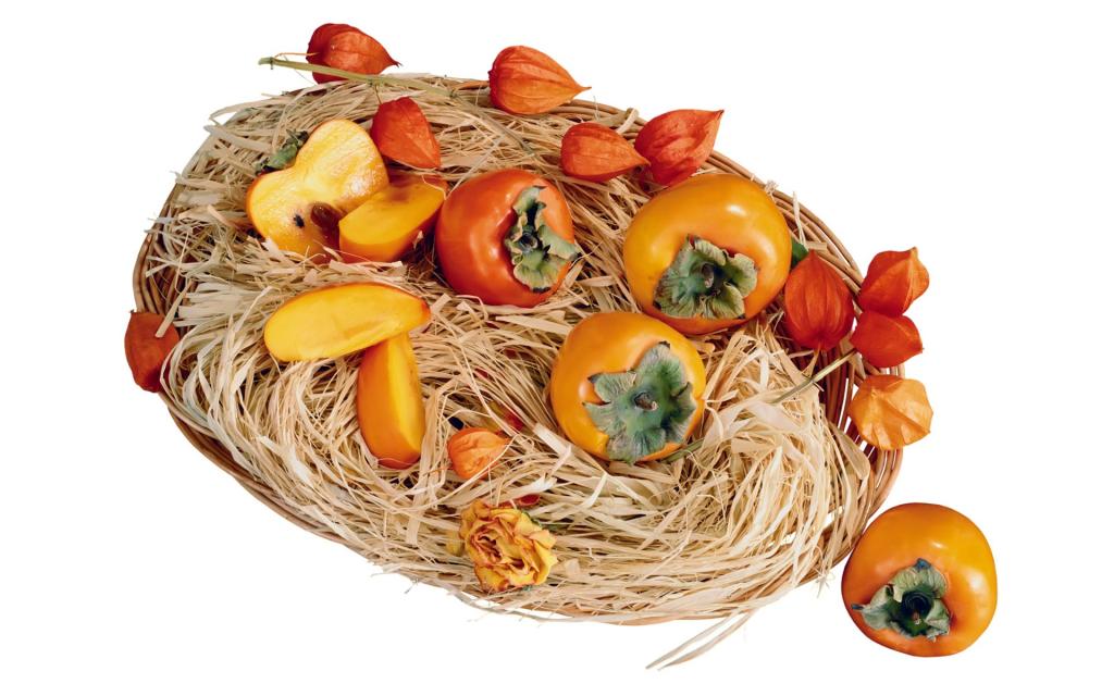 各种水果蔬菜花卉