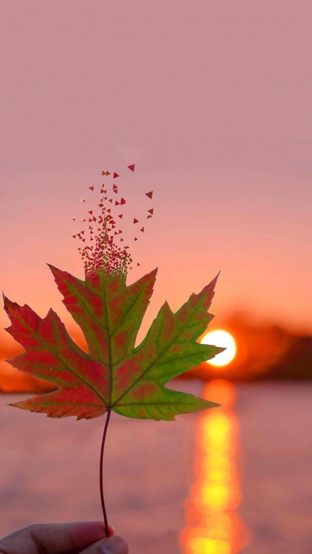 摄影下只与你的唯美夕阳