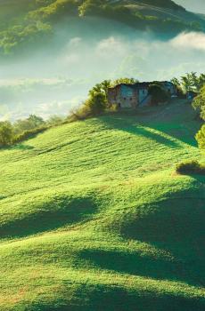 春天田野风光-8