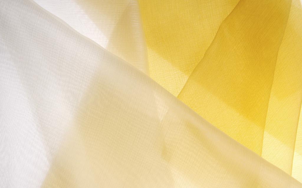 布纹蕾丝静物写真