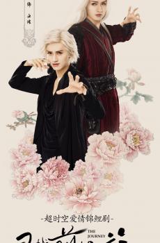 寻找前世之旅海报