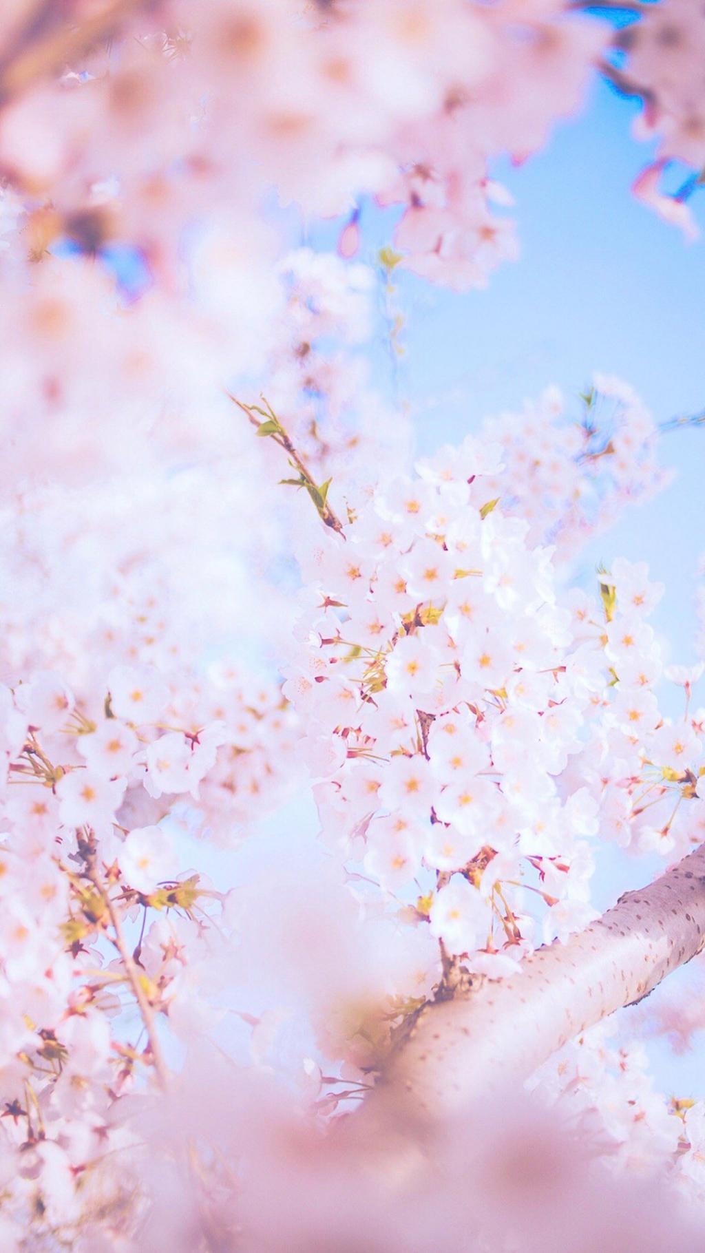 唯美桃花小清新写真