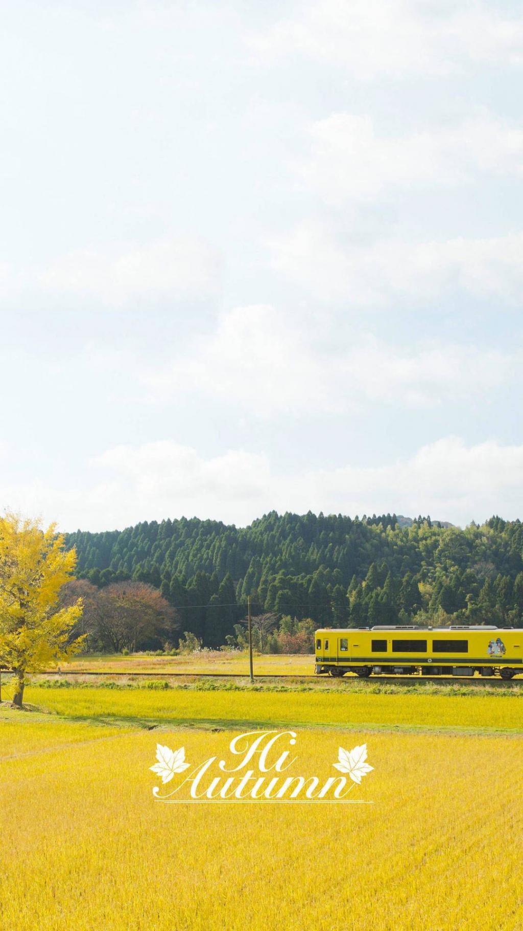 你好秋天系列手机锁屏
