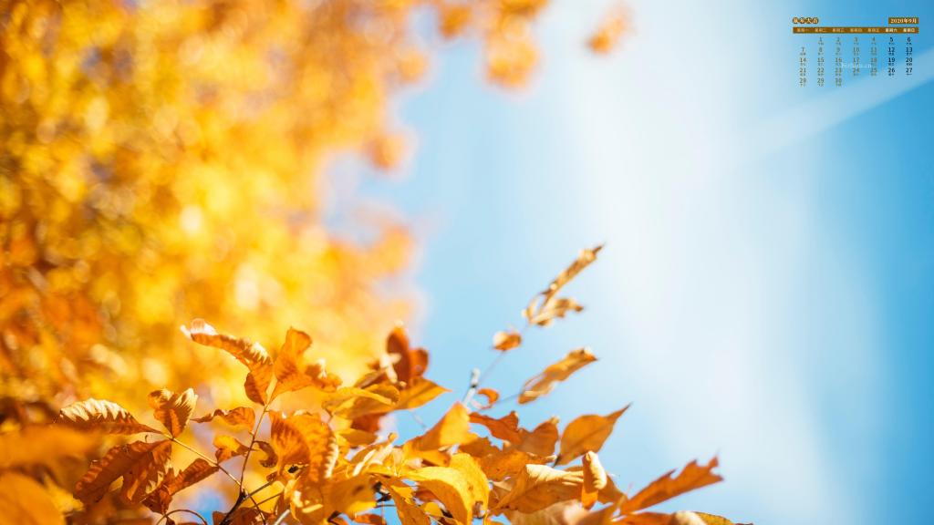 2019年9月秋天落叶美景日历