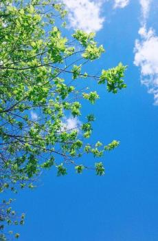 简单的小清新风景-3