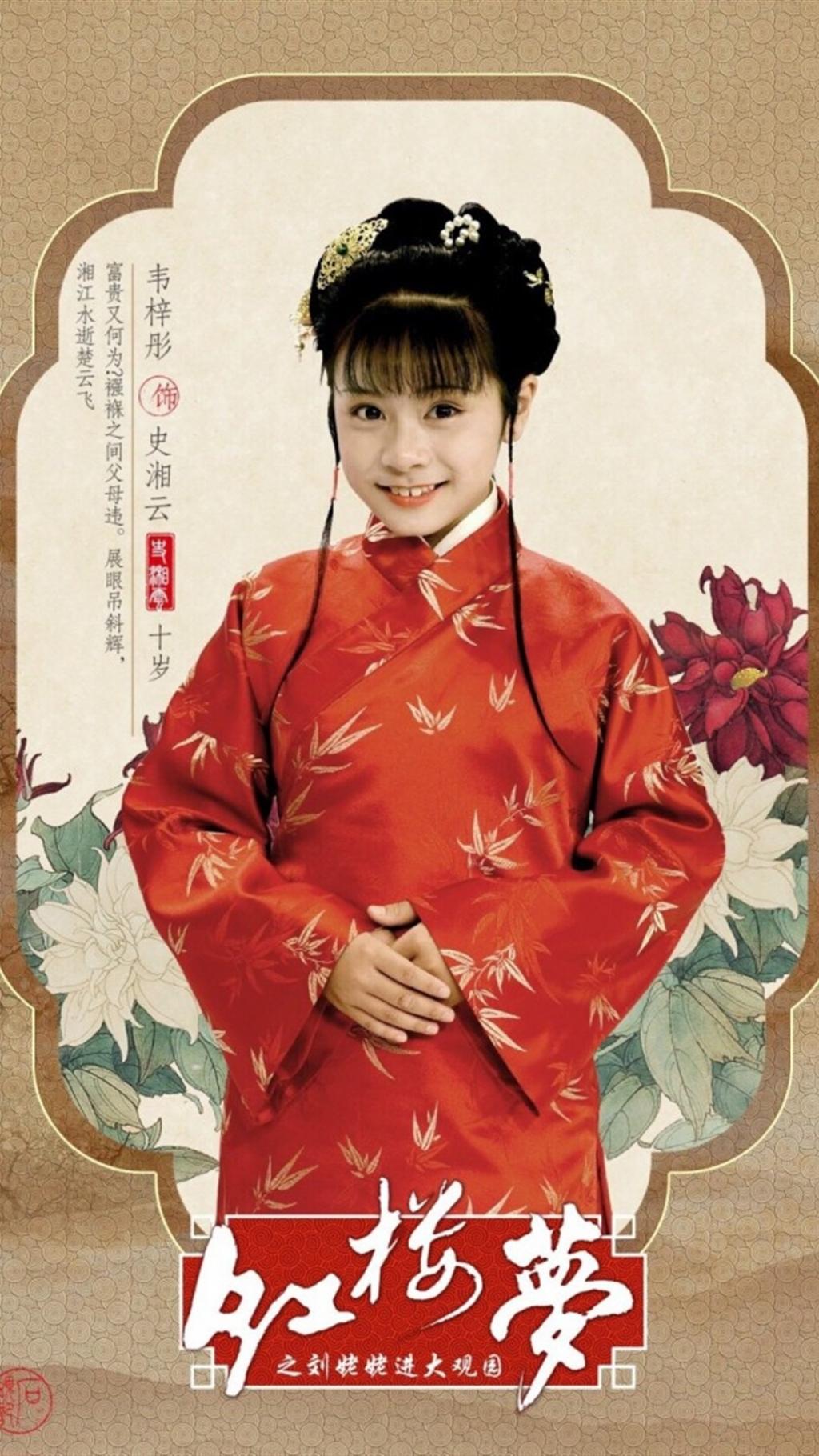 电视剧小戏骨红楼梦人物剧照