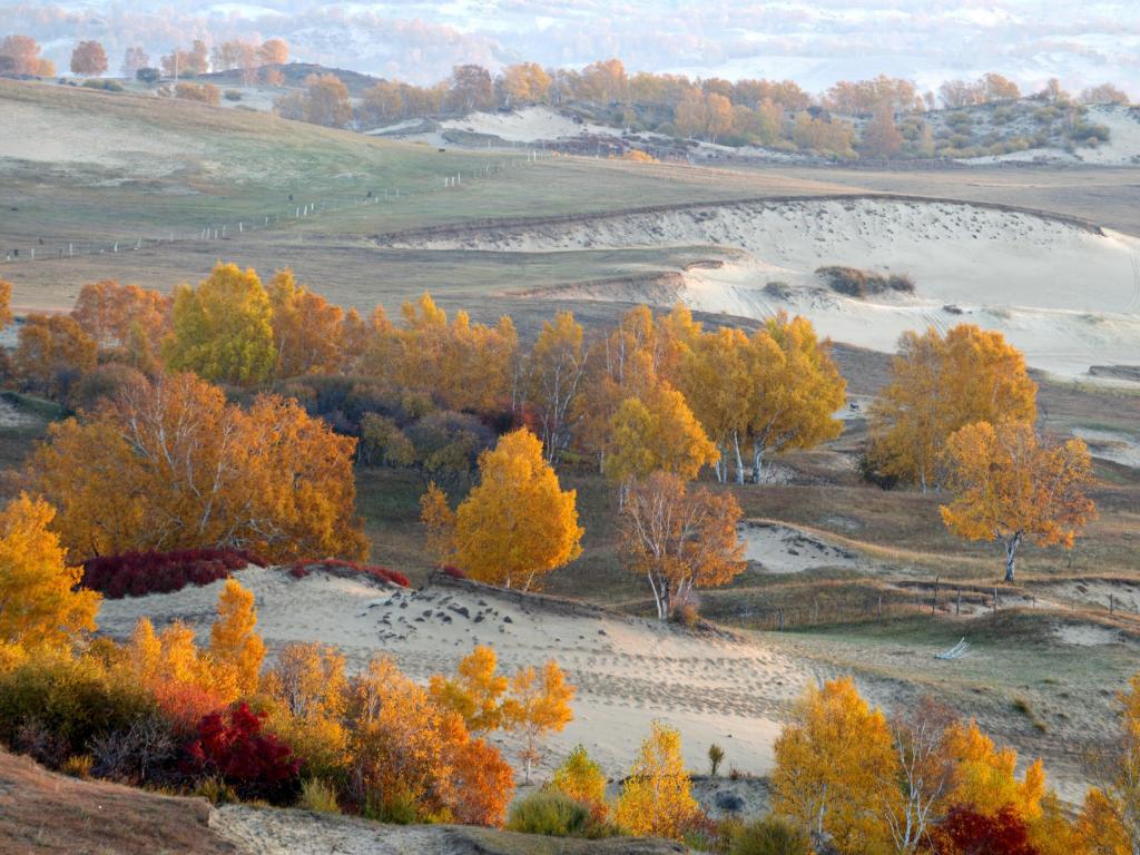 坝上草原迷人仙境风光