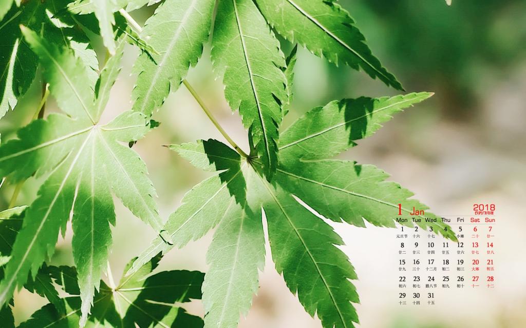 2018年1月养眼日历