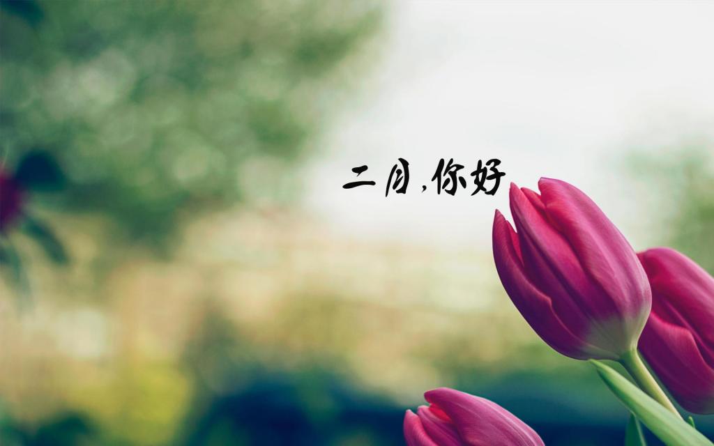 时光匆匆,二月再见